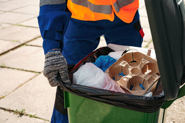 Best Recycling Services for Junk  in Brown City, MI